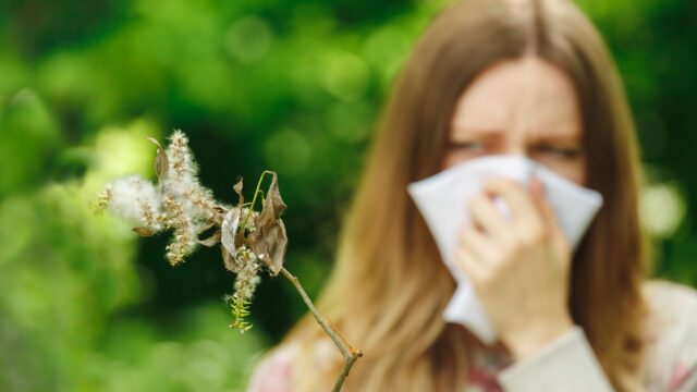 Alle Jahre wieder: im Frühjahr die Pollen­all­er­gie lindern!