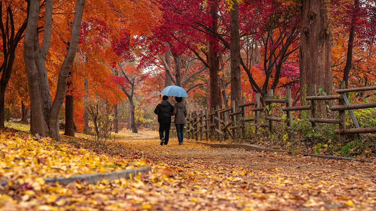 Herbst